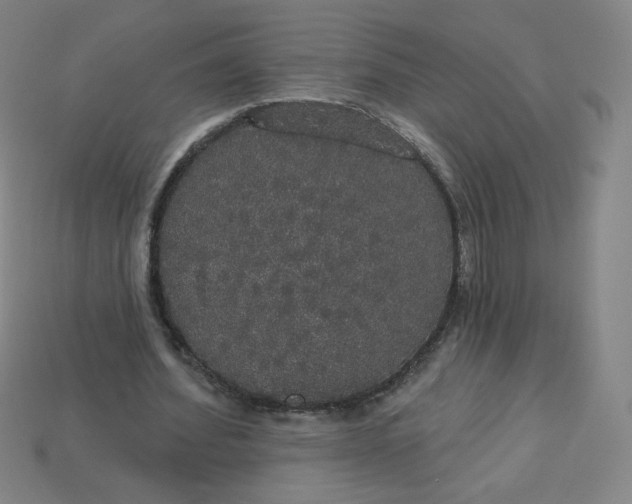 X0000113550580200910091306