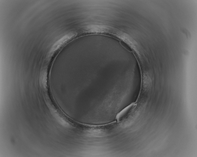 X0000113550581200910091306