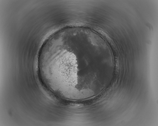 X0000113550582200910091306