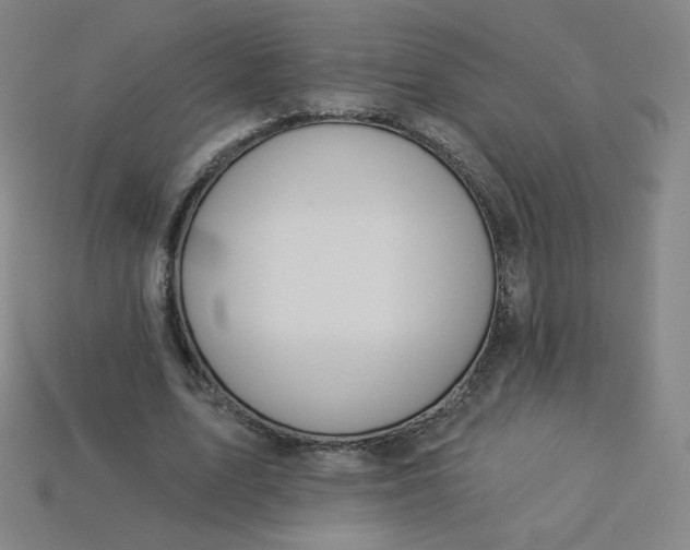 X0000113550583200910091306