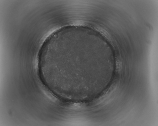 X0000113550584200910091306