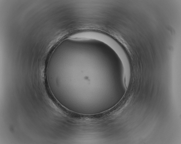 X0000113550585200910091306