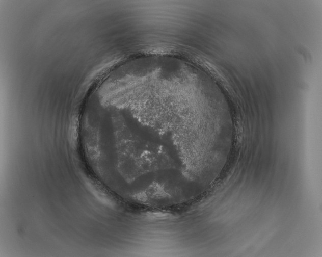 X0000113550586200910091306