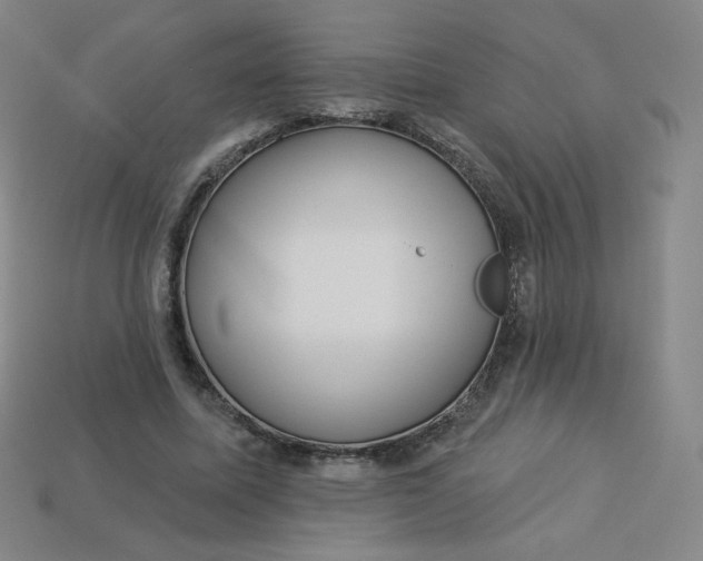 X0000113550587200910091305