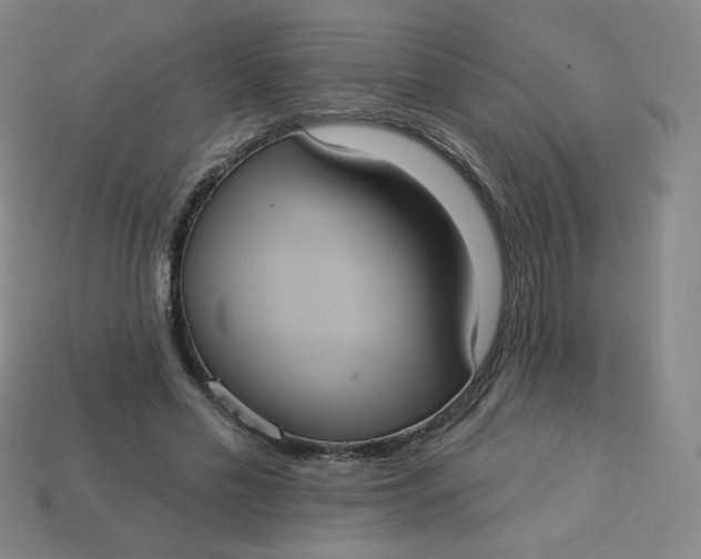 X0000113550589200910091305