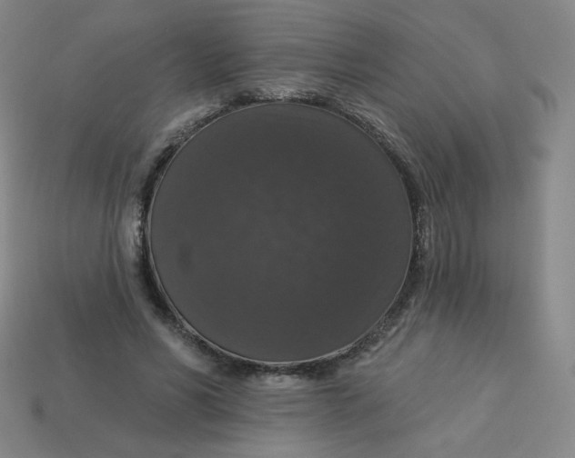 X0000113550590200910091305