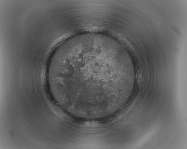 X0000113550591200910091305