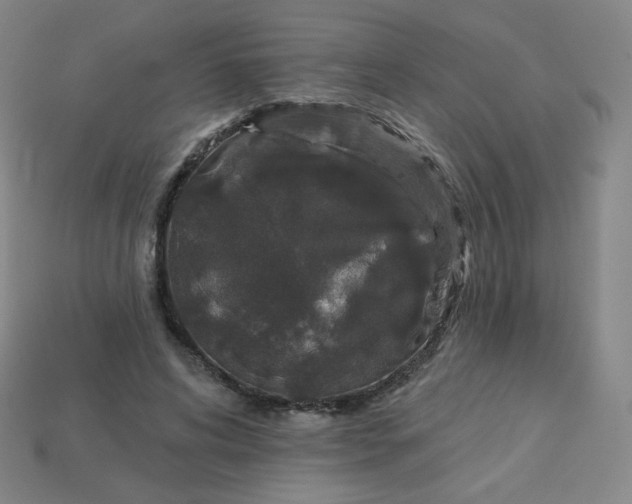 X0000113550592200910091305