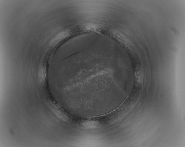 X0000113550593200910091305