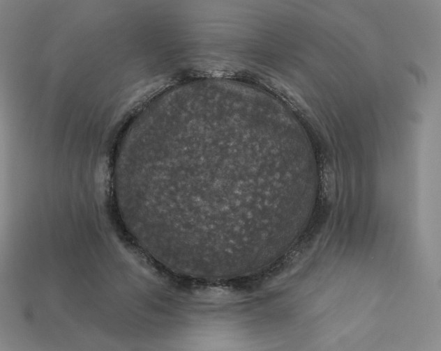 X0000113550594200910091305