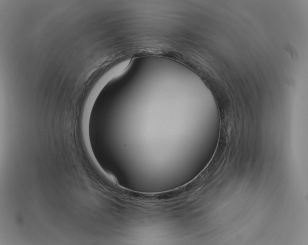 X0000113550595200910091305