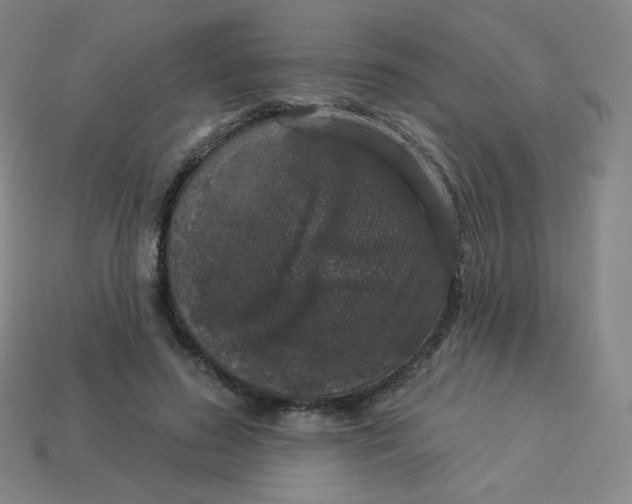 X0000113550596200910091305