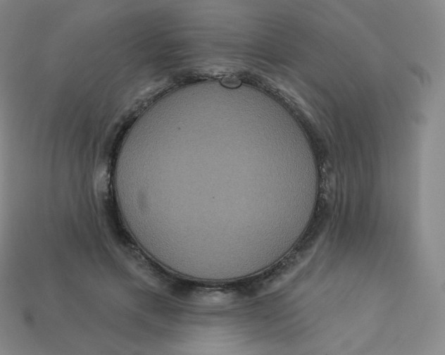 X0000113550597200910091305