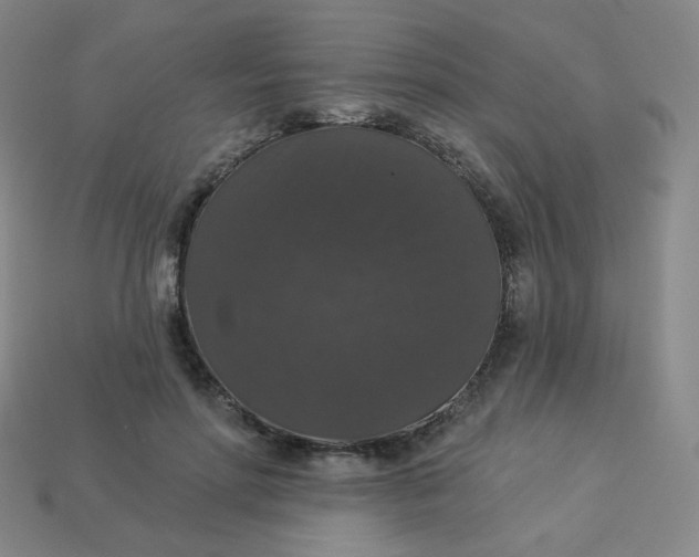 X0000113550598200910091305