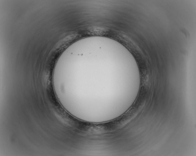 X0000113550599200910091305