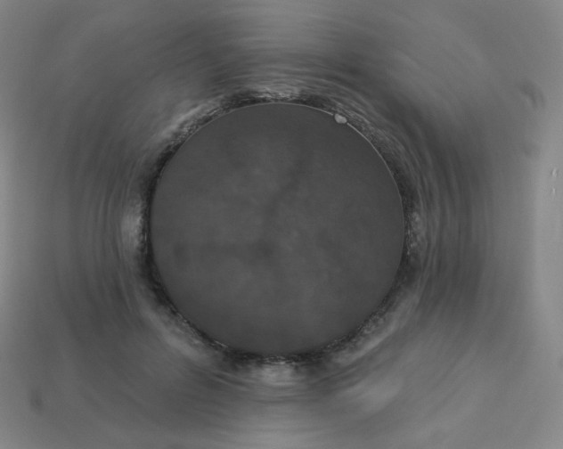 X0000113550600200910091305