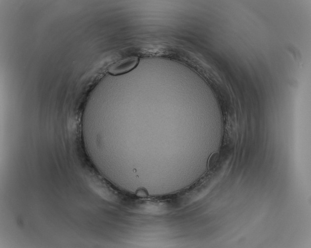 X0000113550601200910091305