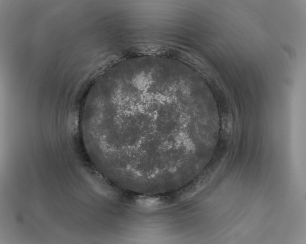 X0000113550602200910091305