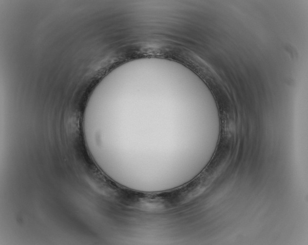 X0000113550603200910091305