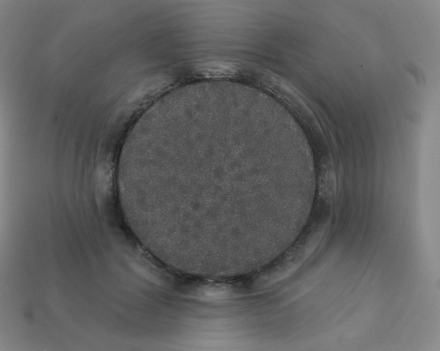 X0000113550604200910091305