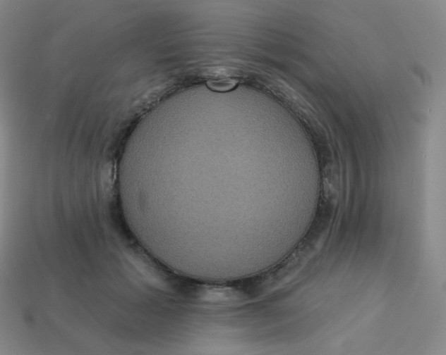 X0000113550605200910091305