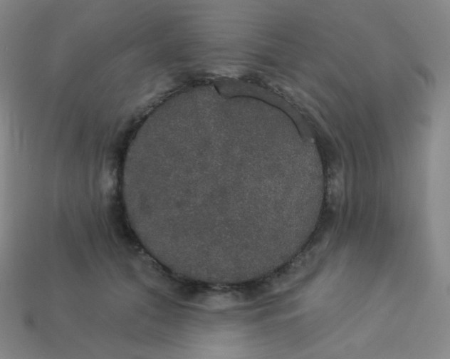 X0000113550608200910091305