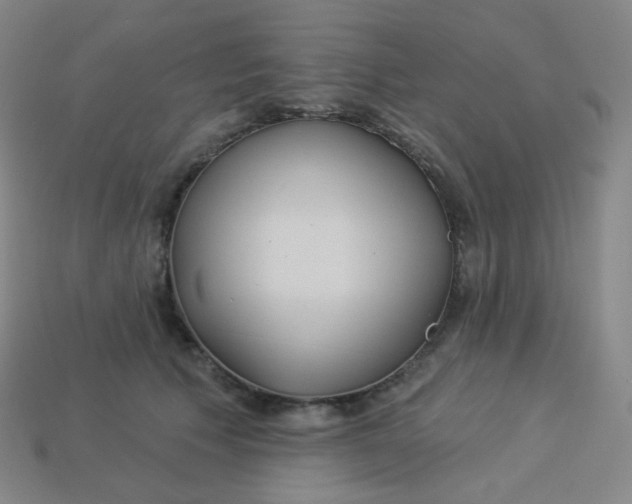 X0000113550609200910091305