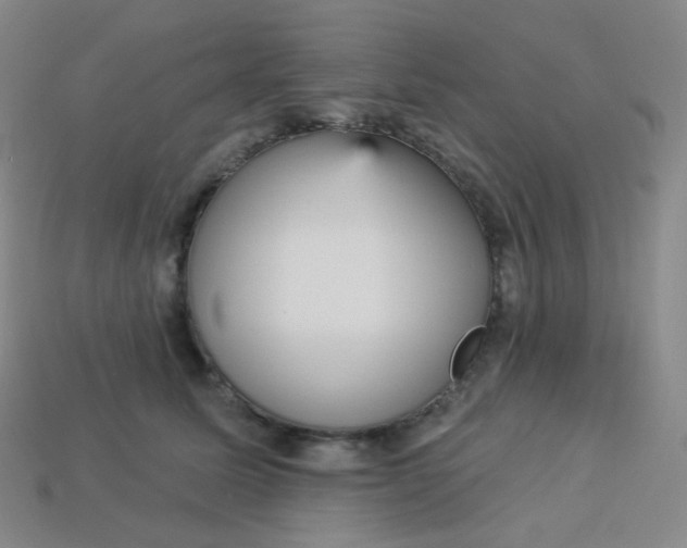 X0000113550611200910091305