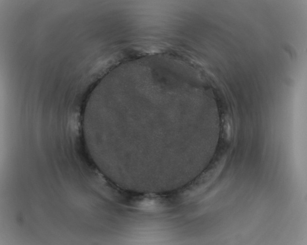 X0000113550612200910091305