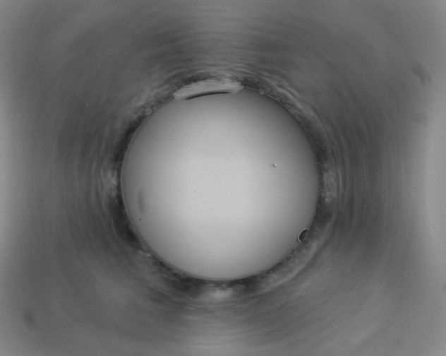 X0000113550613200910091305