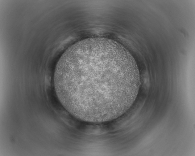 X0000113550615200910091305