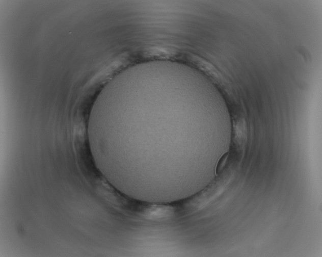 X0000113550617200910091305