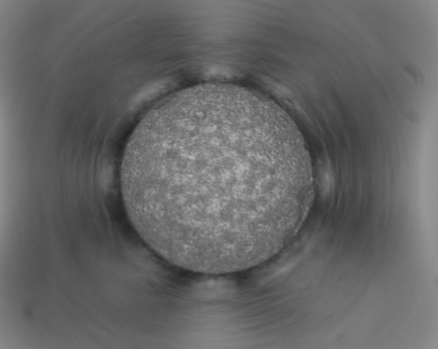 X0000113550619200910091305