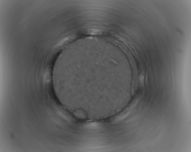 X0000113550620200910091305