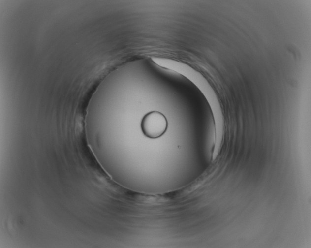 X0000113550621200910091305