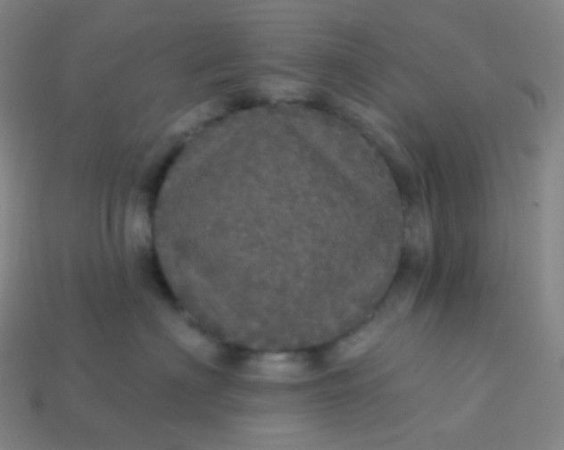 X0000113550622200910091305