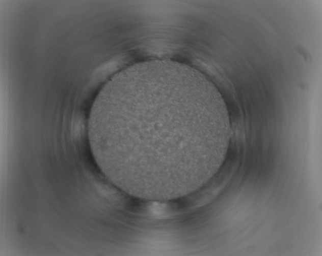 X0000113550623200910091305