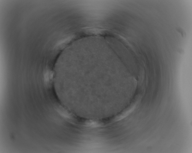 X0000113550624200910091305