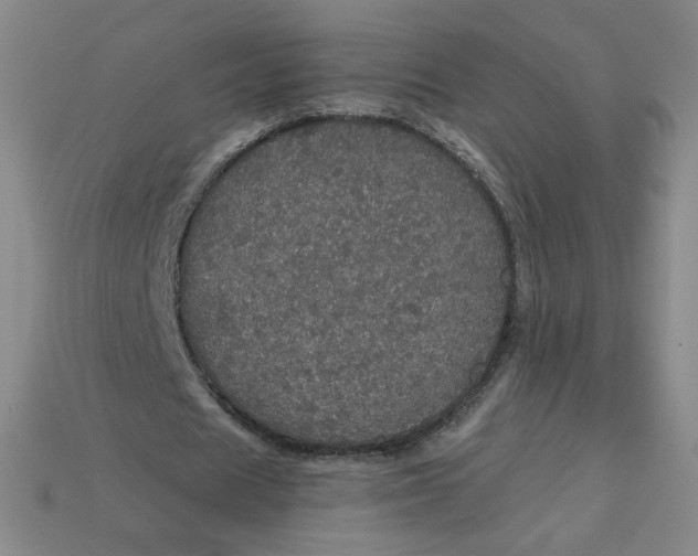 X0000113550625200910091304