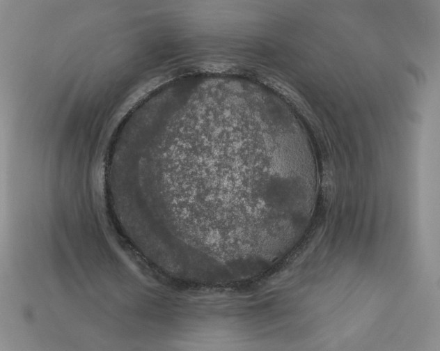 X0000113550626200910091304