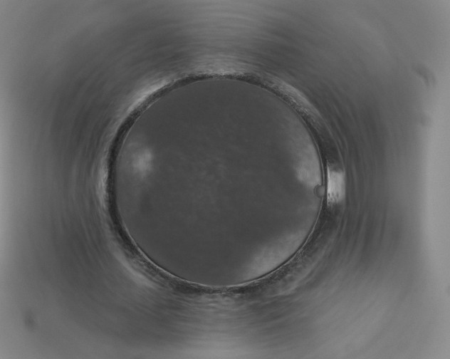 X0000113550627200910091304