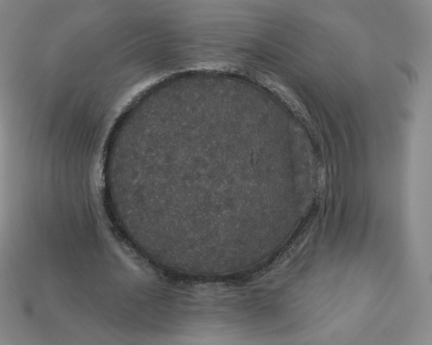 X0000113550628200910091304