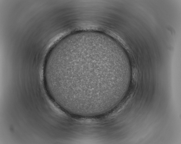 X0000113550629200910091304