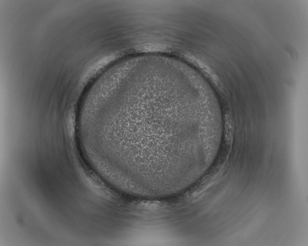 X0000113550631200910091304