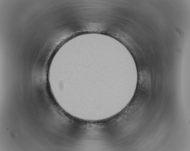 X0000113550632200910091304