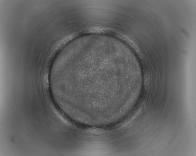 X0000113550633200910091305