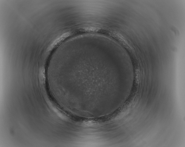 X0000113550634200910091305