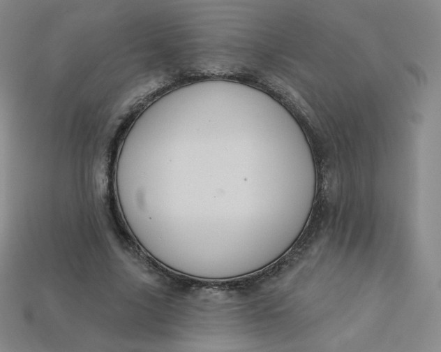 X0000113550635200910091305