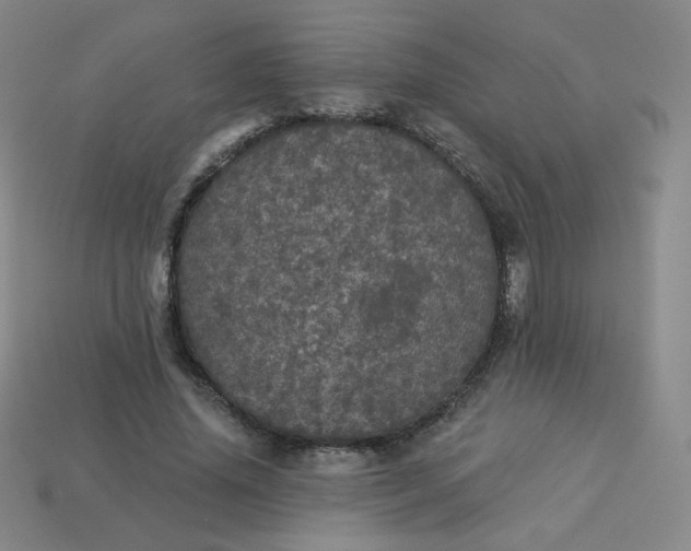 X0000113550636200910091305