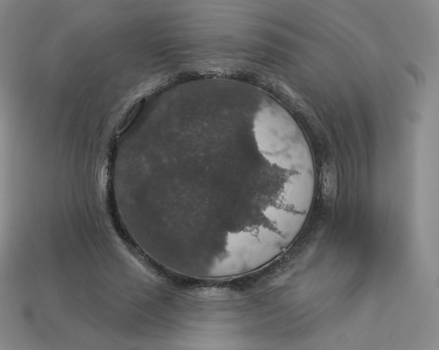 X0000113550637200910091305